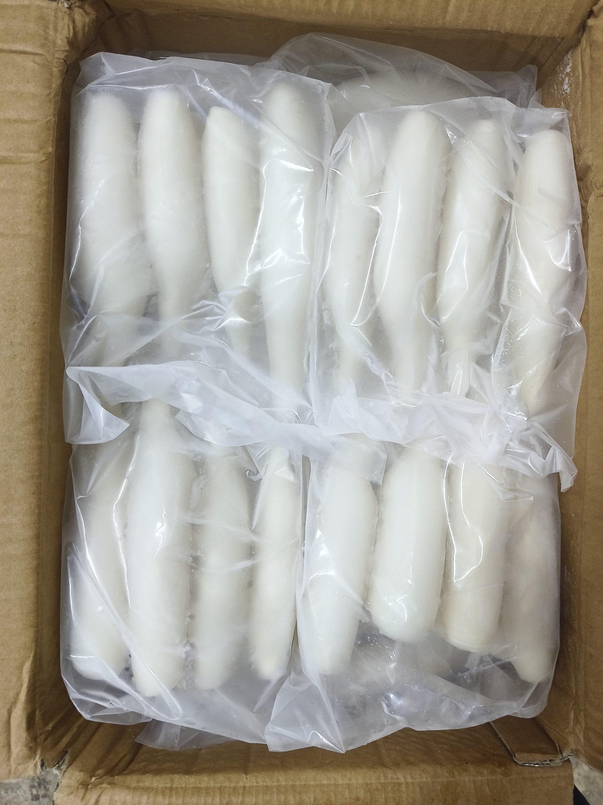 Cumi Tube